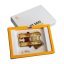 Piexon Guardian Angel® III Champagne